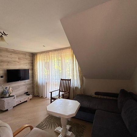 Apartament Pod Lasem Krynica-Zdrój Zewnętrze zdjęcie